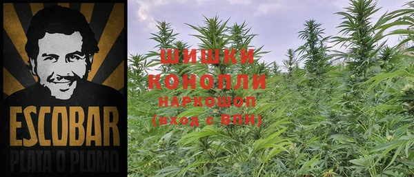 PSILOCYBIN Арсеньев