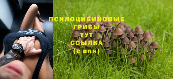 мяу мяу мука Алзамай