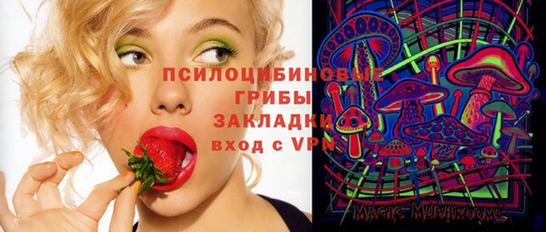 круглые Алексеевка
