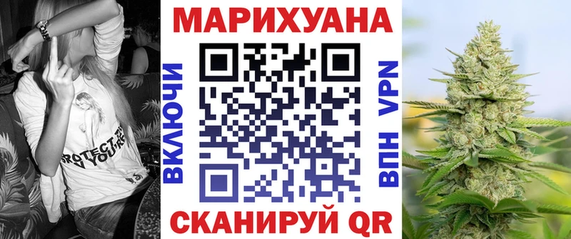 Канабис гибрид  Белокуриха 